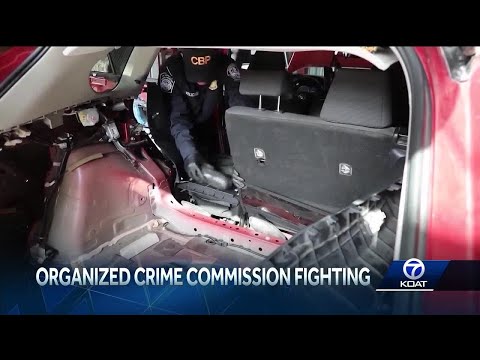 New Mexico DA tackling organized crime in more ways than one