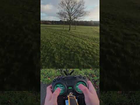 Maiden Flight & Crash - Itsy Evo FPV