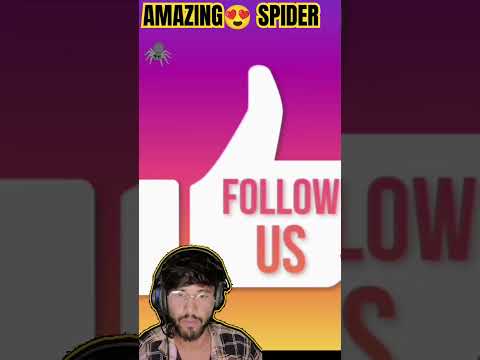 Amazing 😍 Spider 🕷️ #shorts #fact #trending #viral #reels