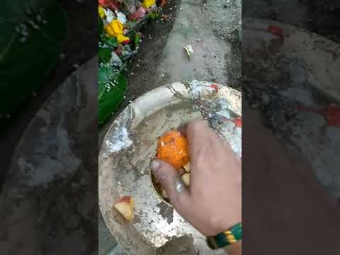 Teej brat ka bisarjan ghar me Roma Chhetri  gangutia