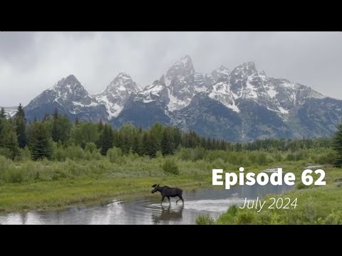 Wildlife Wednesday Monthly Round Up of Grand Teton and Yellowstone - July 2024