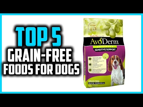 ✅Top 5 Best Grain Free Foods for Dogs in 2025