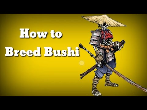 MGG - How to Breed Bushi | Cómo criar bushi