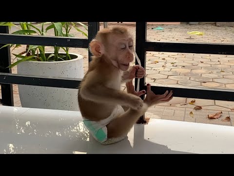 Cute little baby boy sit playing outside look is very cute