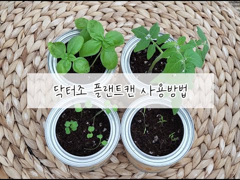 닥터조 플랜트캔 사용방법