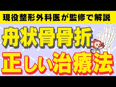 舟状骨骨折の正しい治療法を現役整形外科医監修で解説