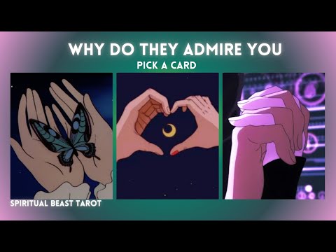 pick a card | why do they admire you