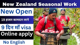 new zealand seasonal work visa 2023 | new zealand work visa 2023 for nepali | new zealand work visa