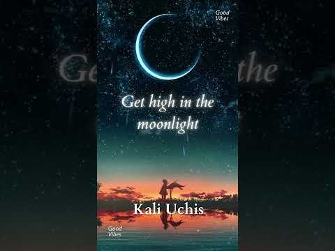 Moonlight lyrics by Kali Uchis pt 2 #kaliuchis #moonlight #lyrics #lyricssong