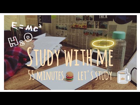 55 minutes Study With Me || crackling fire || #studywithme #study || @CURIOUSMINDSCM