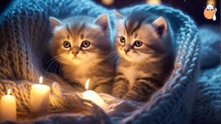 HOURS of Relaxing Music for Cats - Soothing Music | Sleepy Cat