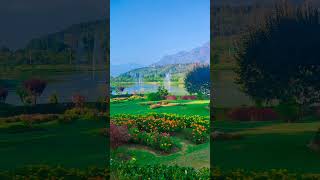 #botanicalgarden#srinagardiaries#jannat-e-kashmir#trendingshorts#youtubeshorts