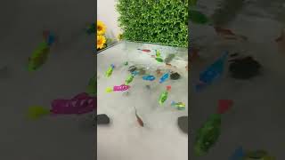 Fish toys#Subscribe this channel for more video #Tabish Toys Collection#short#viralvideos