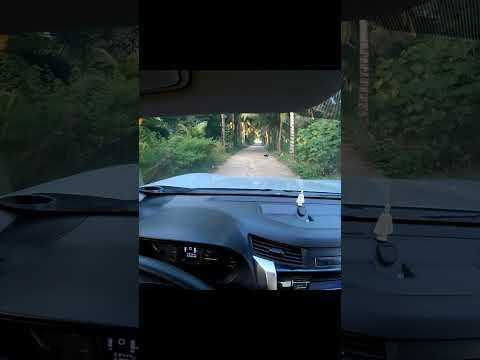 Roadtrip Sultan Kudarat #shorts #automobile #driving #automobile #car