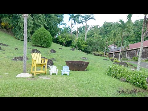 BELMONT ESTATE GRENADA 2024 VLOG