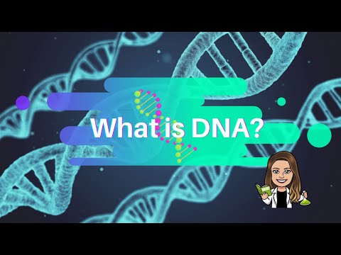 What is DNA?