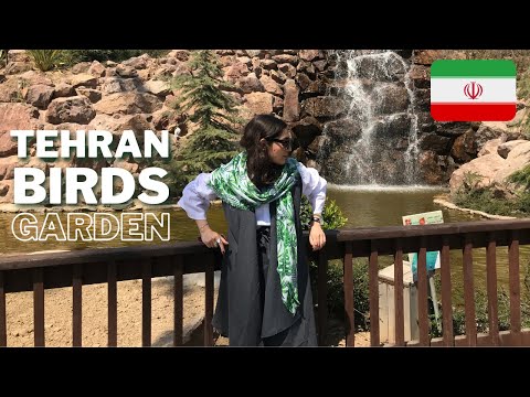 Tehran Birds Garden | باغ پرندگان تهران