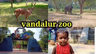 VANDALUR ZOO CHENNAI/ After lockdown/Arignar Anna Zoological park/ mom to akshi