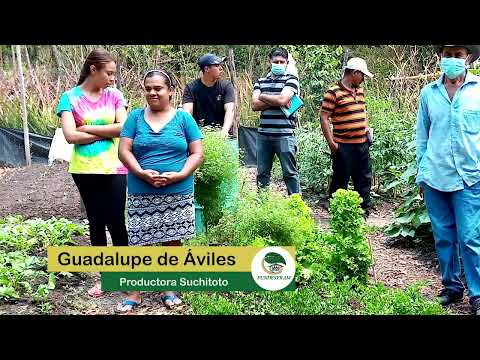 Experiencia de las familias agroecológicas de Suchitoto