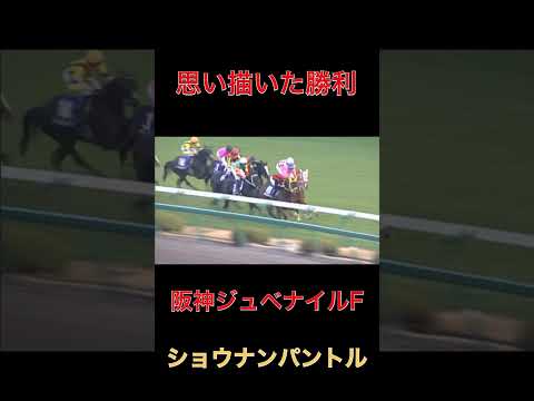 思い描いた勝利ショウナンパントル【阪神JF】#競馬#阪神ジュベナイルフィリーズ