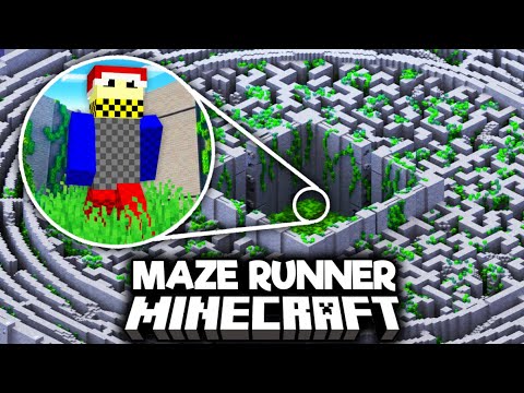 Minecraft's Worst Players Simulate The Maze Runner...