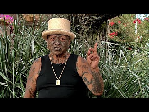 Strange Man In Flax Bush Talks Chinese & Waitangi