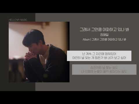 정해일 - 그래서 그만큼 아파하고 있나 봐 | 가사