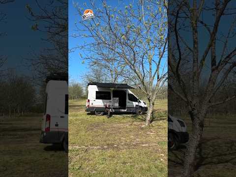 Solar eclipse campout #vanlife #shorts