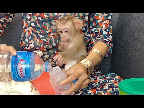 Small Baby Boy Siting Watching Mom mix Milk To Drink