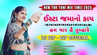 Insta Jamano Kay & Hum Yaar Hai Tumhare | New Bolly Timli Song 2025 | Dj Dip - Dip Official