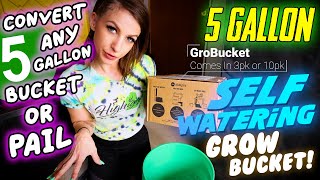 5 Gallon Bucket Planter! Self Watering! GroBucket!