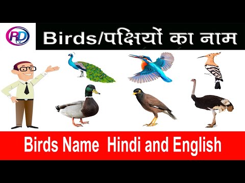 Birds Name in Hindi and English With Picture/Birds Name/35 birds name/pakshiyon ke naam #birdsnames