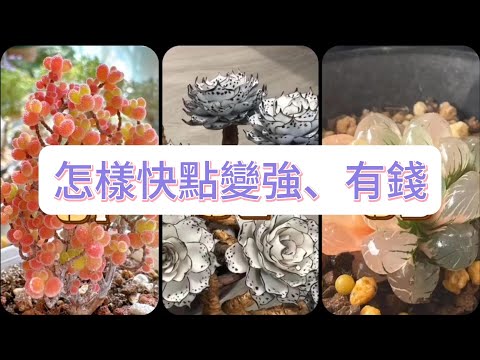 💜塔羅占卜| 怎樣快點變強、有錢