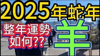 【古柏論命 - 張古柏】2025年乙巳年12生肖整年運勢透析 – 羊