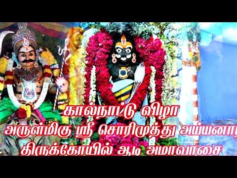 சொரிமுத்து ஐயனார் திருக்கோவில் ஆடி அமாவாசை திருவிழா கால்நாட்டு விழா #god #thiruvizha