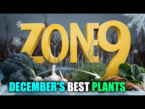 December's BEST Zone 9 Plants for a Thriving Winter Garden🌱