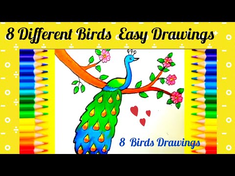 8 Birds Easy Drawing For Kids. #birddrawingforkids ,#birddrawing,#howtodrawabird,@lovuart .