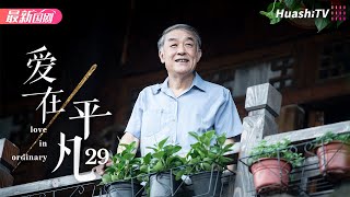 爱在平凡丨Episode 29丨Love in Ordinary丨左小青 夏德俊 程枫 何赛飞