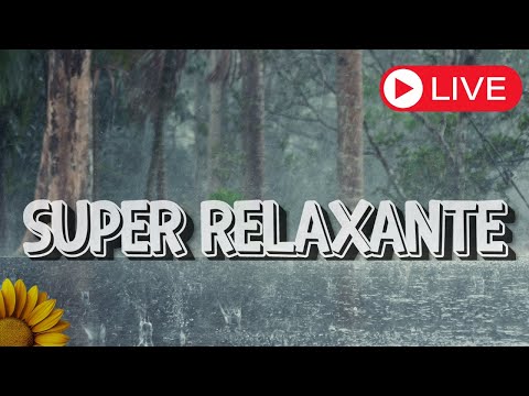 🔴SUPER RELAXANTE, SOM da CHUVA Tranquila com GOTEJAMENTO e TROVOADAS Calmas. RAIN FOR SLEEP 🌧