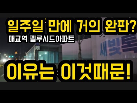 일주일만에 완판 임박- 이유 찾아 현장 탐방!