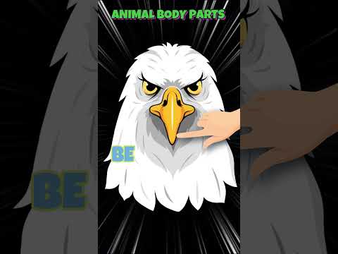 Learn Animal Body Parts Names in English