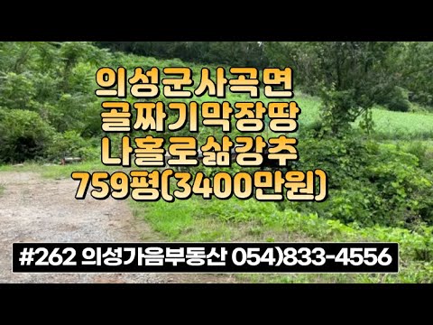 #262 의성가음부동산 계곡안 막장땅 계곡물철철 연못 정자옆 묵은밭 경관좋음 759평 3400만 (당4.5만) 미꾸라지 양식가능 나홀로 쉼터 싼땅 #의성땅#귀농귀촌#주말농장#자연인