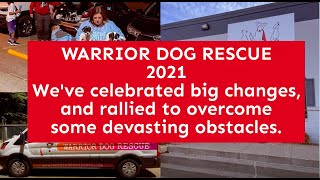 Warrior Dog Rescue 2021