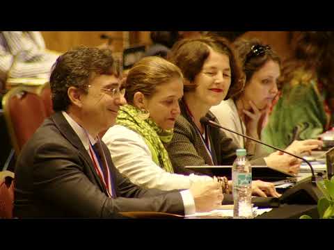 19th session of the Intergovernmental Committee - Floor - 2 December 2024 - pt5part2