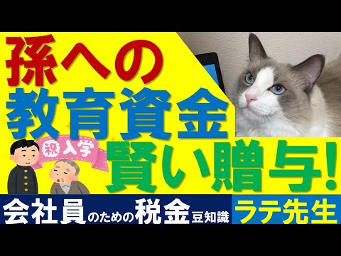 【相続税対策】孫への教育資金贈与の非課税!/猫好き税理士