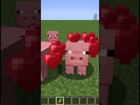 Minecraft Loving Pigs Part 2 #Shorts