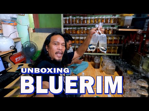 UNBOXING IKAN CUPANG BLUERIM