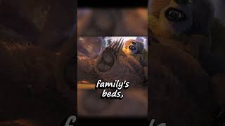 Did You Notice This About Goldilocks and The Three Bears In Puss In Boots The Last Wish?