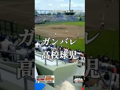 BOSS解禁！#タオル投げ【高校野球栃木大会決勝】独りで投げます★止まらないHa～Ha/TomaranaiHa-Ha★矢沢永吉50周年