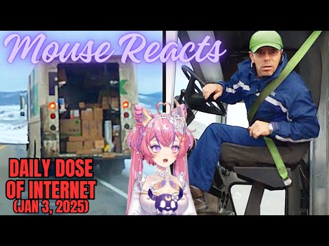 Mouse Reacts to Daily Dose of Internet: Delivery Driver Had No Idea (Jan 3, 2025)